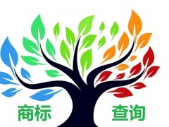 如何應(yīng)對商標查詢盲期？